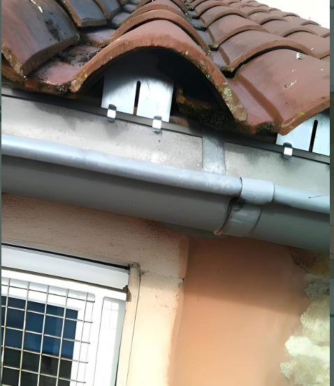 Système Anti Pigeon, Saint-Georges-de-Reneins