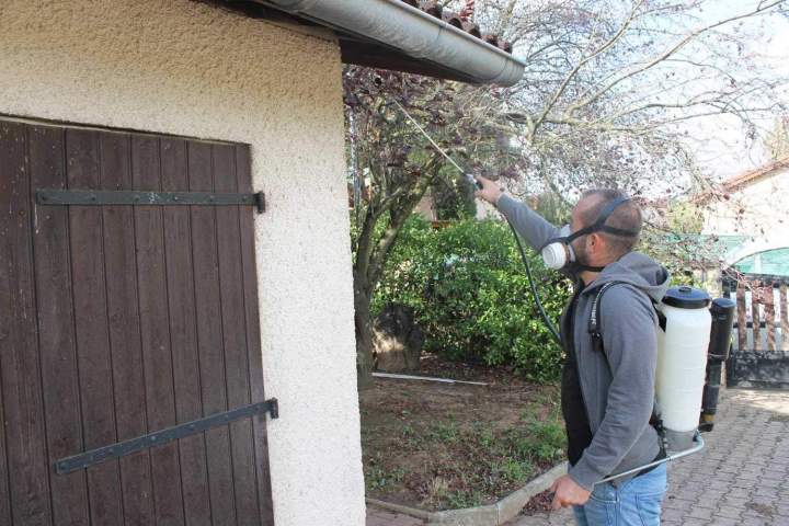 Solutions anti-nuisibles Beaujolais 