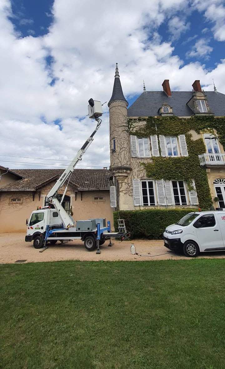 Extermination de guêpes Beaujolais 
