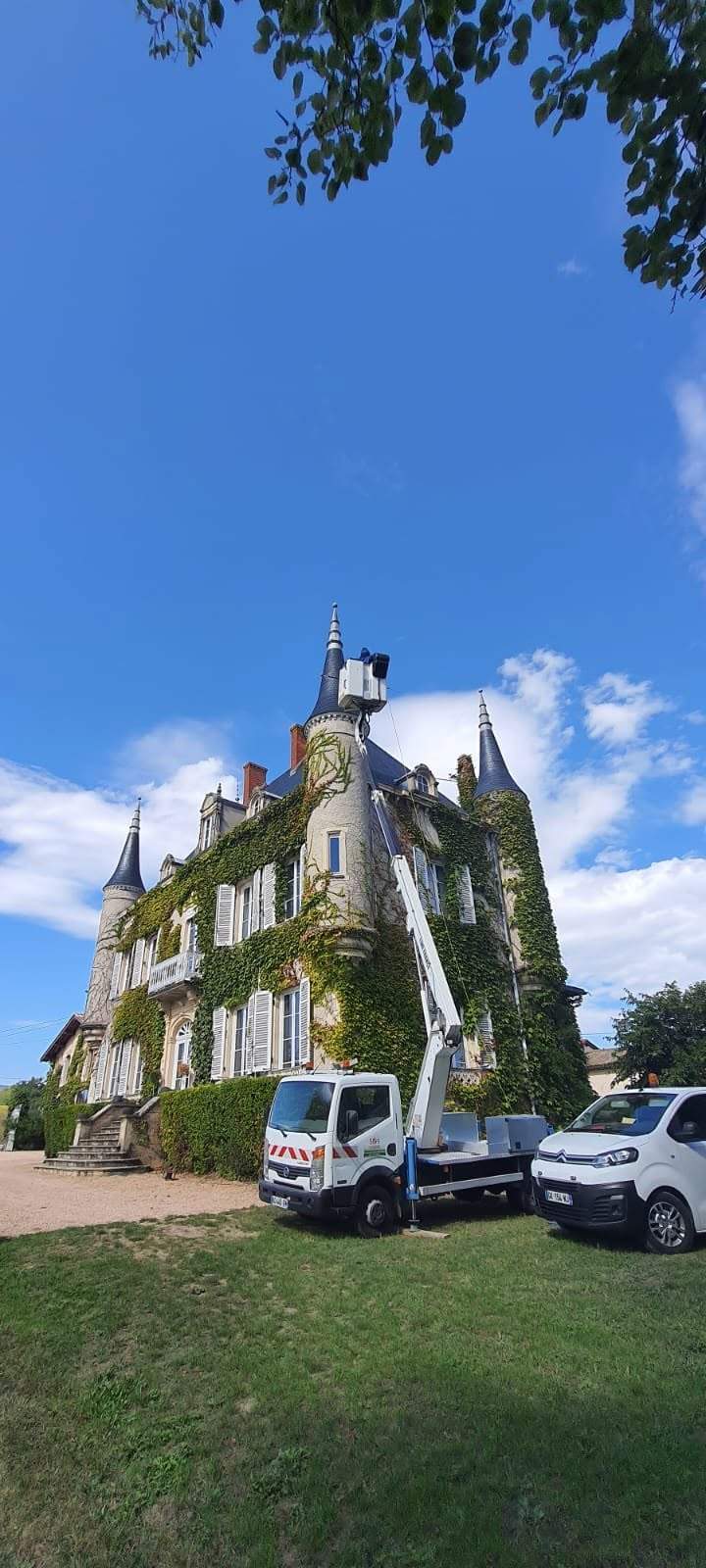 Traitement professionnel des guêpes Beaujolais 