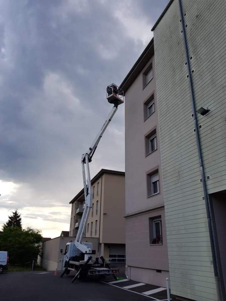 Installation de barrières anti-pigeons Beaujolais 